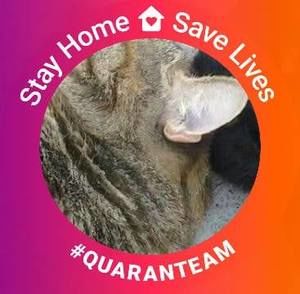 Meet your Posher, Estela